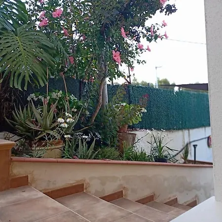 Falconera Apartaments, A Faldas De La Montana Lejlighed