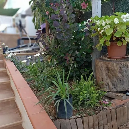 Falconera Apartaments, A Faldas De La Montana *