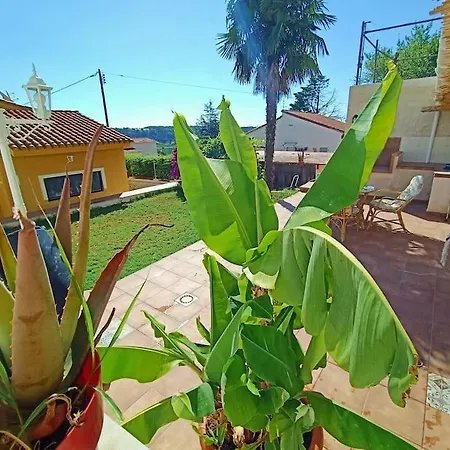 Lejlighed Falconera Apartaments, A Faldas De La Montana Gandía