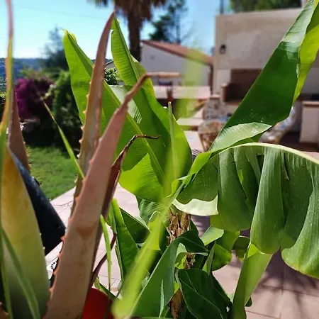 Falconera Apartaments, A Faldas De La Montana