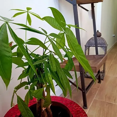 Lejlighed Falconera Apartaments, A Faldas De La Montana Gandía