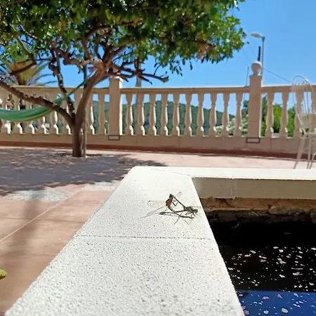 Falconera Apartaments, A Faldas De La Montana Gandía